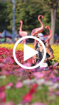 BIB:  <button type="button" onclick="openModal(27588564)" class="btn btn-primary btn-sm float-right" data-toggle="modal" data-target=".modal-high-quality">
                <i class="fa fa-download"></i> Download
                </button>